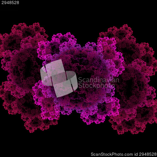 Image of Symmetrical growth of bacteria