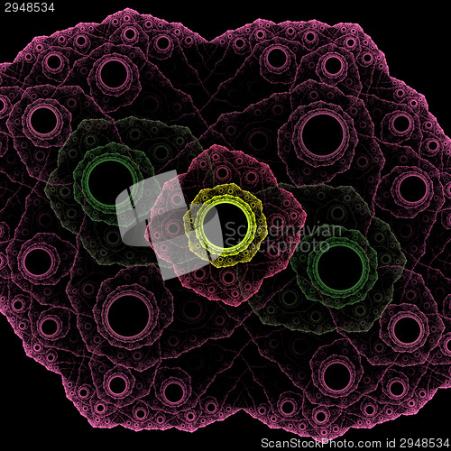 Image of Symmetrical growth of bacteria