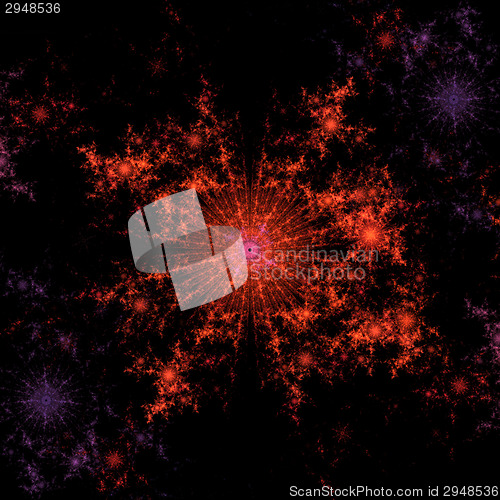 Image of Symmetrical growth of bacteria