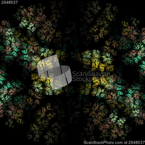 Image of Symmetrical growth of bacteria