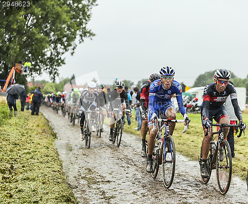 Image of The Peloton on a Cobbled Road- Tour de France 2014