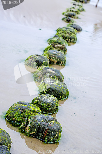 Image of Groin in the Baltic Sea 