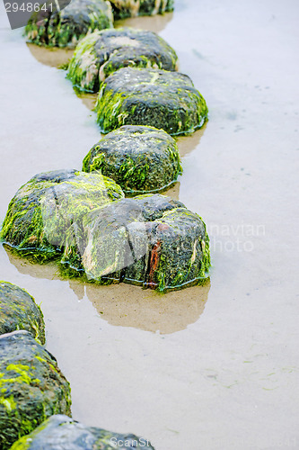 Image of Groin in the Baltic Sea 