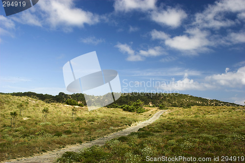 Image of Wood path