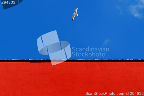 Image of Seagull in the blue.