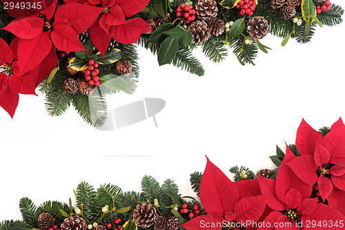 Image of Christmas Floral Border