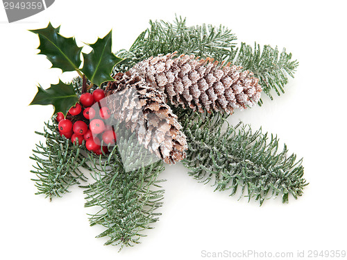 Image of Christmas Greenery