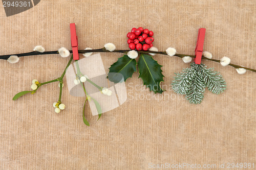 Image of Christmas Flora