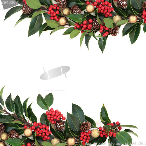 Image of Christmas Holly Border