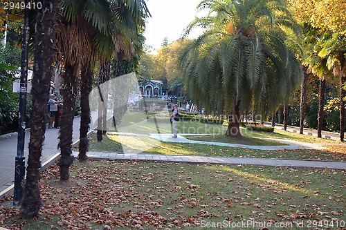 Image of The alley in Riviera park in