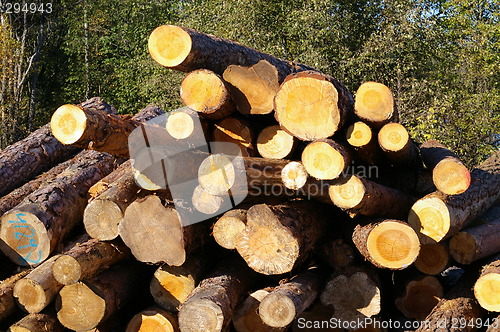 Image of Lumber