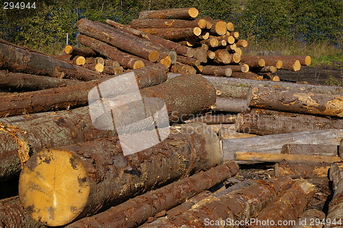 Image of Lumber