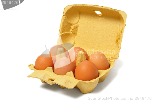 Image of Eggs on white