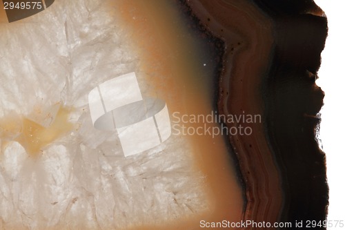 Image of white and brown agate texture