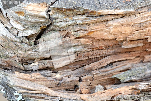 Image of Wooden texture