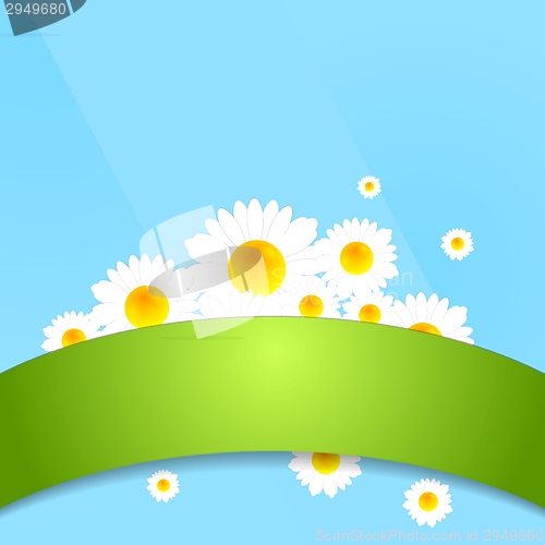 Image of Abstract bright camomiles template design