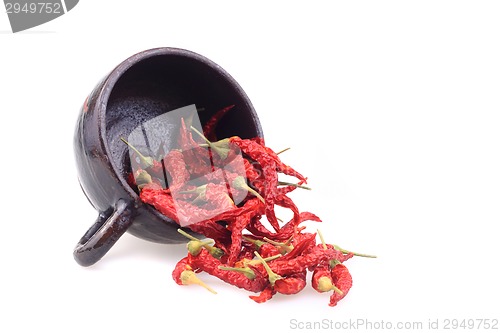Image of hot chili spice