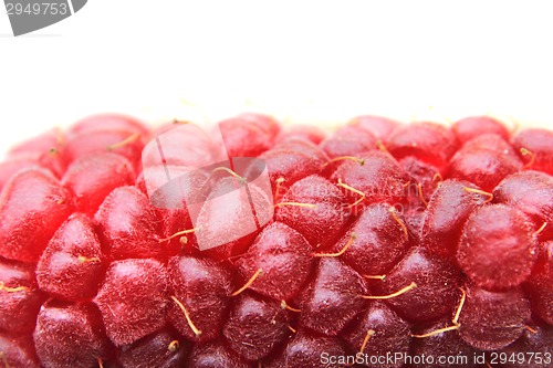 Image of raspberry detail isolated 