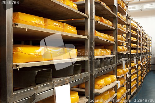 Image of cheese