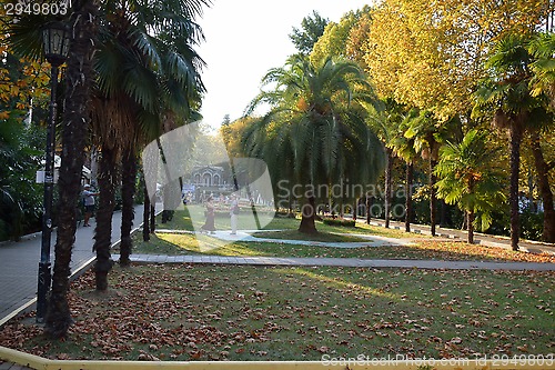 Image of Riviera park in Sochi, Russia