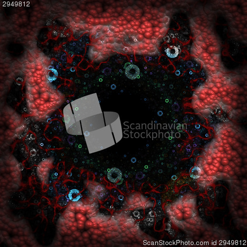 Image of Symmetrical growth of bacteria