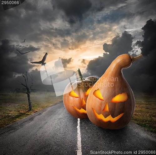 Image of Halloween pumpkins