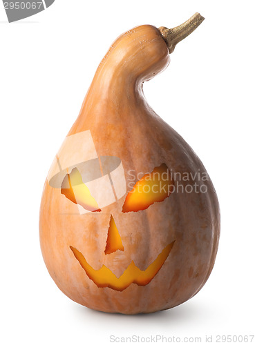 Image of Pumpkin for Halloween