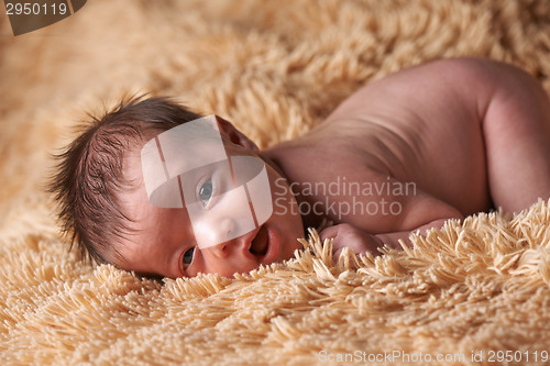 Image of Newborn baby peacefully sleeping