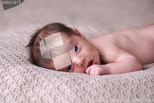 Image of Newborn baby peacefully sleeping