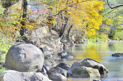 Image of autumn forest