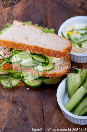 Image of fresh vegetarian sandwich with garlic cheese dip salad