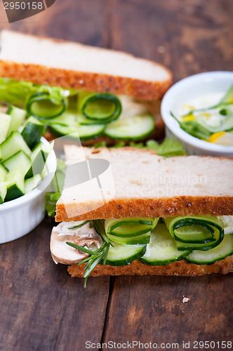 Image of fresh vegetarian sandwich with garlic cheese dip salad