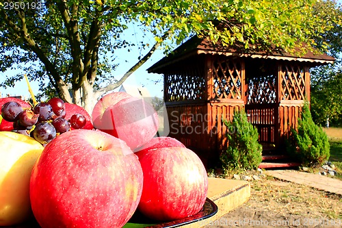 Image of red apples on the arbor background