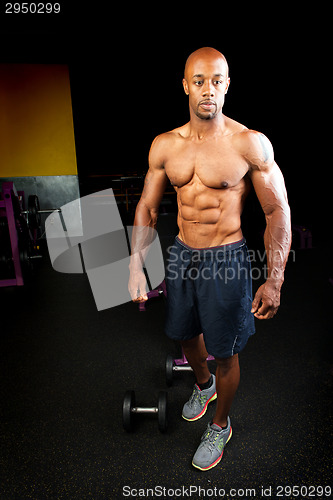 Image of Muscle Fitness Physique