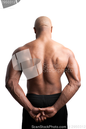 Image of Muscular Back and Shoulders