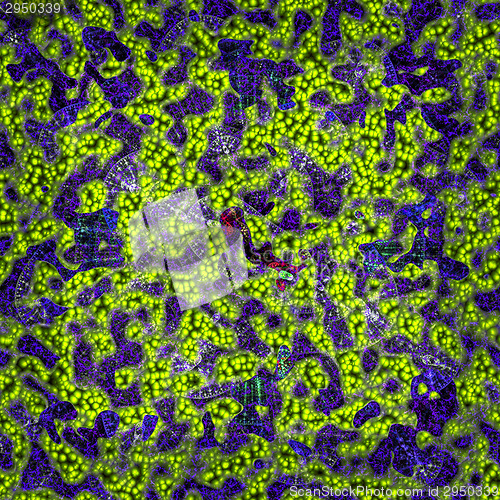 Image of Symmetrical growth of bacteria