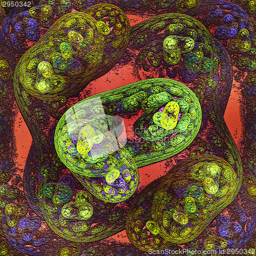 Image of Symmetrical growth of bacteria