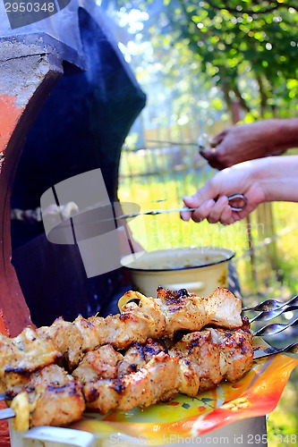 Image of appetizing barbecue on the fire