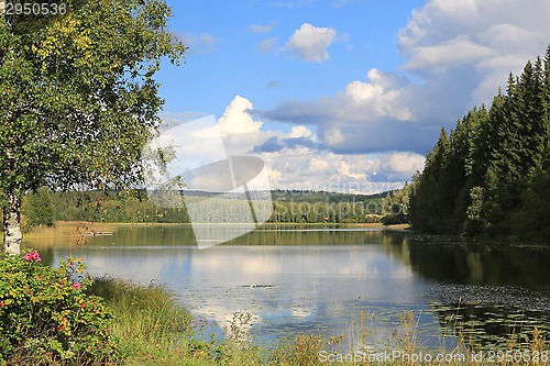 Image of Lake Scenery in Central Finland