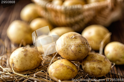 Image of Potatoes