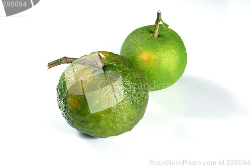 Image of fresh orange