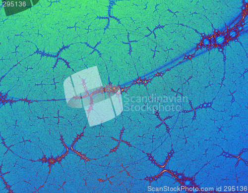 Image of Ocean Bed