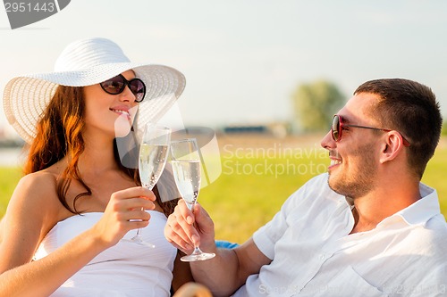 Image of smiling couple drinking champagne on picnic