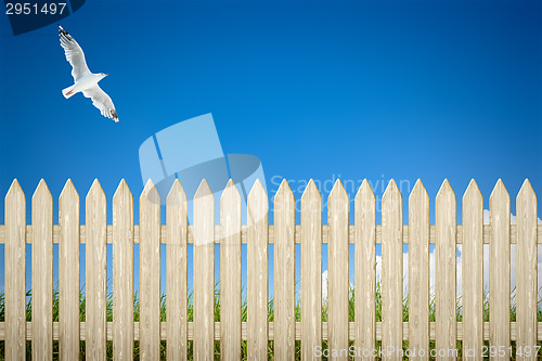 Image of fence background