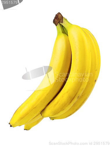 Image of Ripe bananas