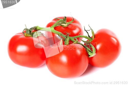 Image of Bunch of ripe tomato