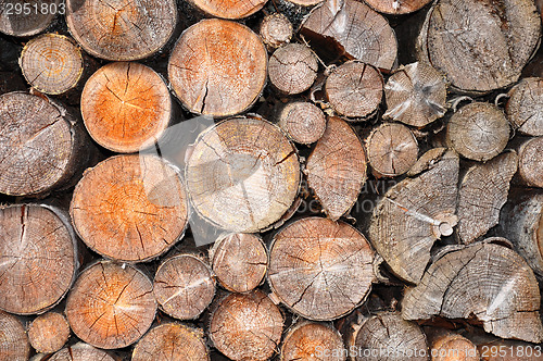 Image of Pile of spruce wood