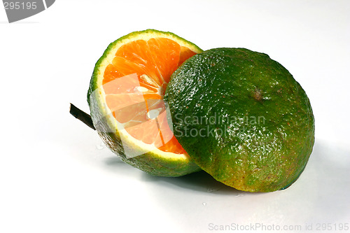 Image of fresh orange