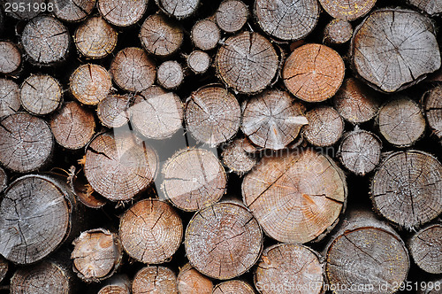 Image of Pile of spruce wood