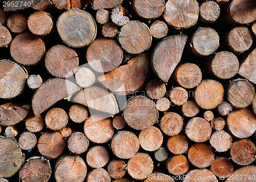 Image of Pile of spruce wood